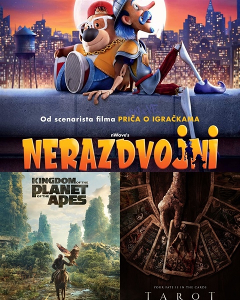 Raspored projekcija